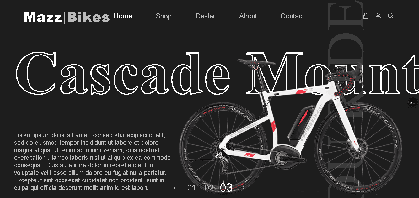 Ecommerce Bicyle